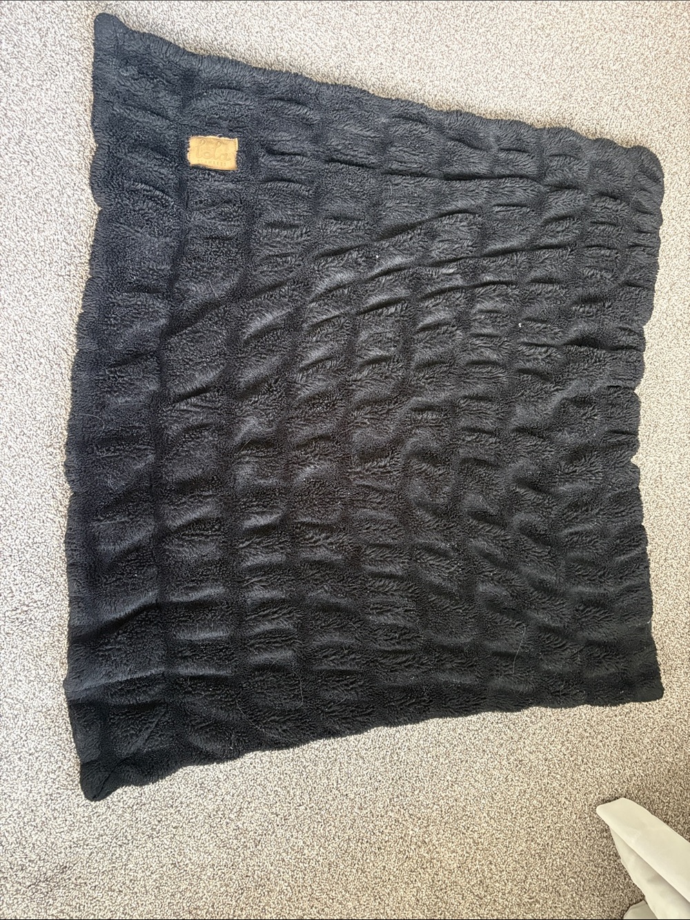 Plush Lola Black Baby Blanket